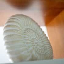 Details24
