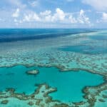 2025 Reeflections Student Art Competition