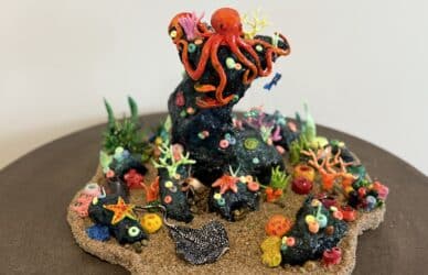 Radiant Reef | Reeflections 2025 Finalist