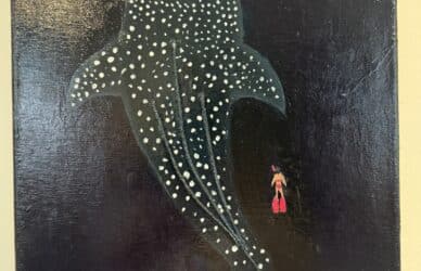 Beauty of the Depths | Reeflections 2025 Finalist