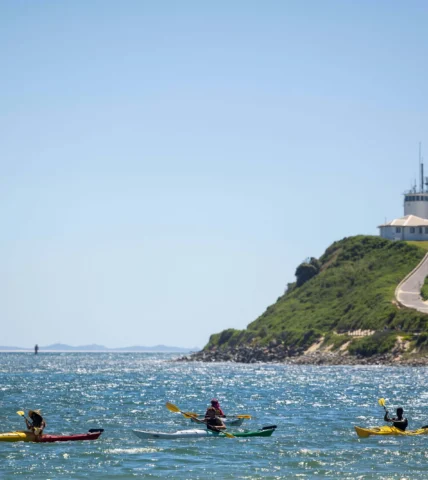 Guests kayaking near scenic lighthouse on lush hillside by the sea, enjoying outdoor adventure and stunning coastal views.